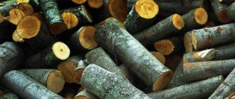 What kind of firewood is best for the stove: calorific value, the hottest