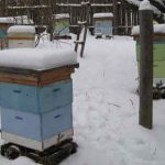 Warming hives for the winter